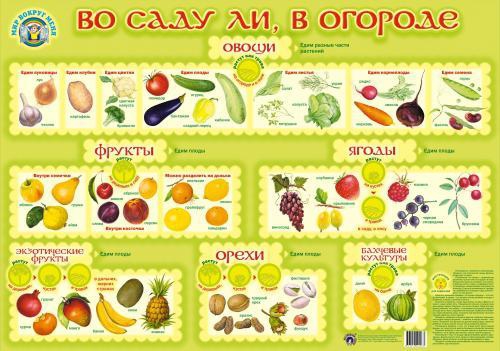 картинка Плакат  Во саду ли, в огороде (Гений) учколлектор чебоксары