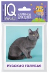Умный малыш. Породы кошек Набор карт.