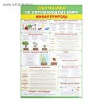 Плакат  Живая природа А2