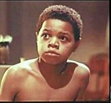 Максимка DVD (Престиж)