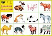 Разв карт Домашние животные