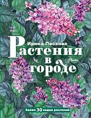 Пескова Растения в городе