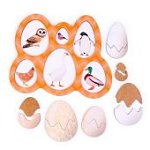 Развивающая доска Птицы