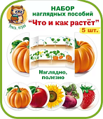 Набор Наглядных пособий Что и как растет