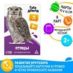 Обучающие карточки по методике Глена Домана "Птицы"