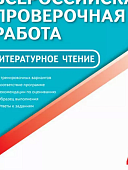 Ильиных Е,А ВПР Литературв 4класс 2017