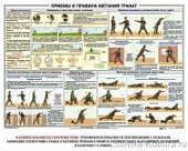 Плакат  Приемы и правила метания гранат   (Магистр