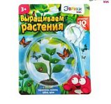 Набор для опытов Выращиваем растение: лупа, семена, тарелка, губка