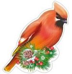 Плакат вырубной А-4 Клест Свиристель