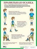 Плакат  Правильная осанка.(Айрис)