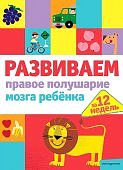 Развиваем правое полушарие мозга ребенка за 12 нед
