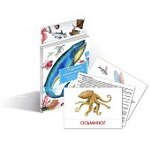 Дидактические карточки  Морские обитатели  (Гений)