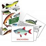 Дидактические карточки  Речные рыбы  (Гений)