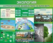 Плакат  Основные типы экосистем. Антропогенные эко