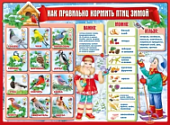 Плакат Как правильно кормить птиц зимой