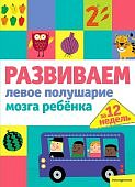 Развиваем левое полушарие мозга ребенка за 12 нед