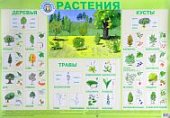 Плакат  Растения (Гений)
