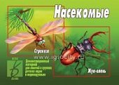Игра Насекомые