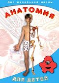 Анатомия для детей. видеофильм  (DVD)