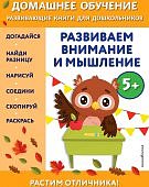 Динч Домашнее обучение Развиваем внимание и мышление 5-6 лет