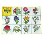 Плакат Цветы садовые