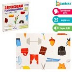 Развивающий набор Звуковая головоломка Звуки З, С
