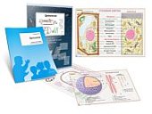 П/П Цитология