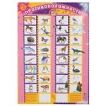 Плакат  Противоположности (Гений)