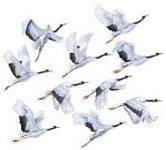 Журвли Комплект мини-плакатов