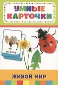 Умные карточки 32 шт