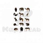 Запоминай, играй, считай.Дикие животные (образован