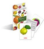 Дидактические карточки  Фрукты  (Гений)