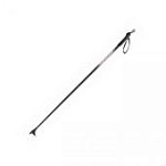 Палки лыжн. Spine (алюм) р.100 см